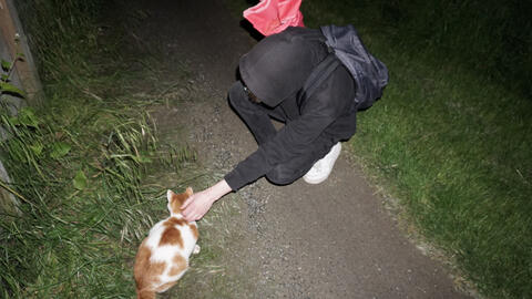 Untitled Untitled