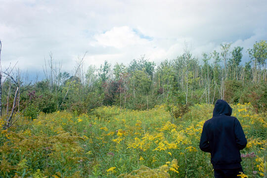 Untitled