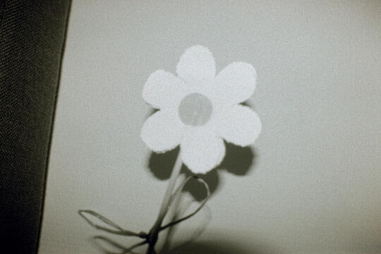 Untitled Untitled