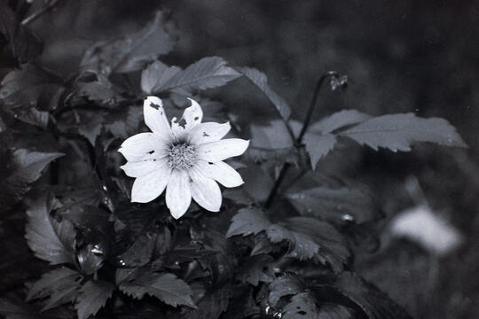 Untitled Untitled