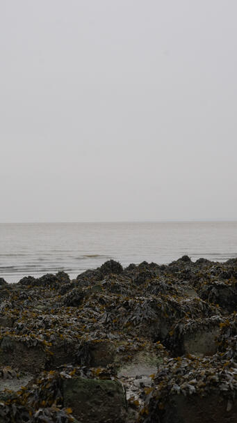Untitled Untitled